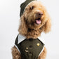 Aviator Dog Costume