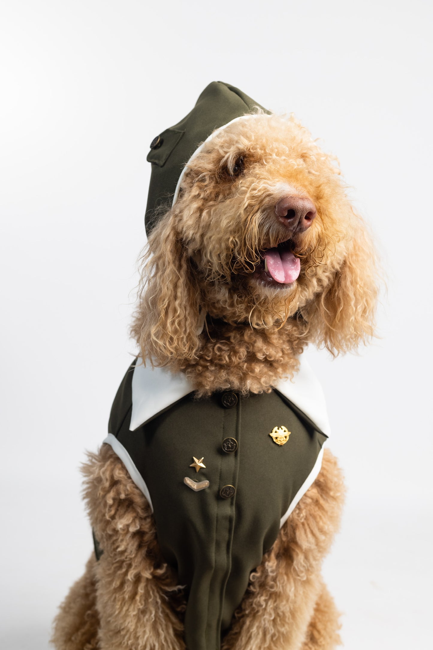 Aviator Dog Costume