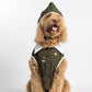 Aviator Dog Costume