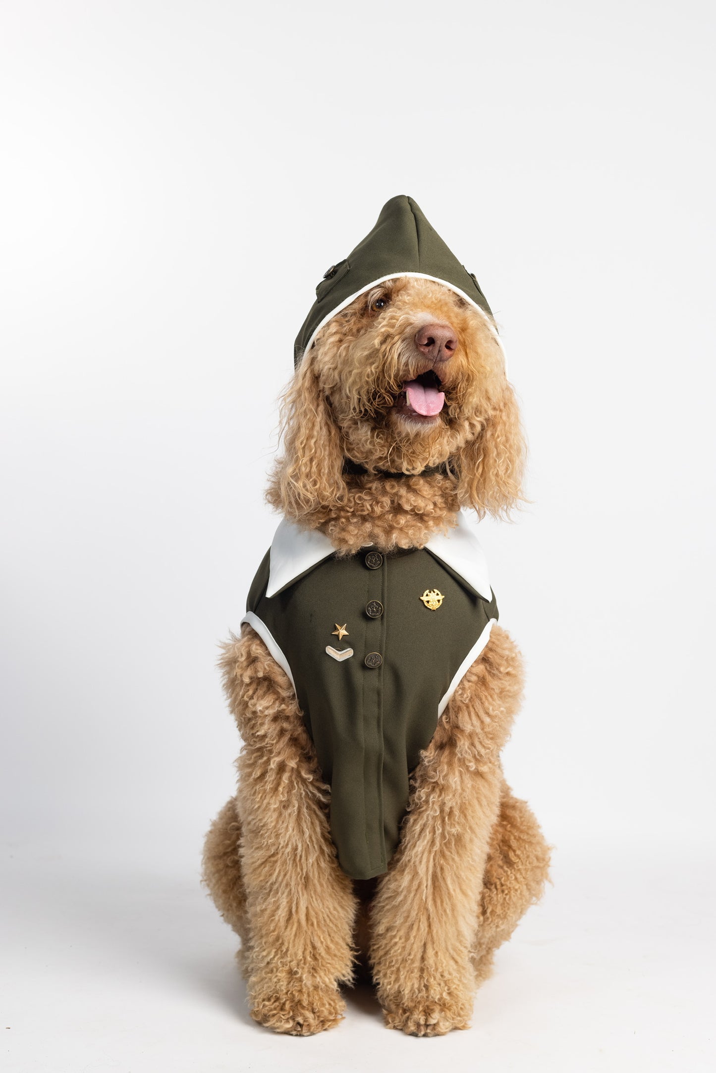 Aviator Dog Costume