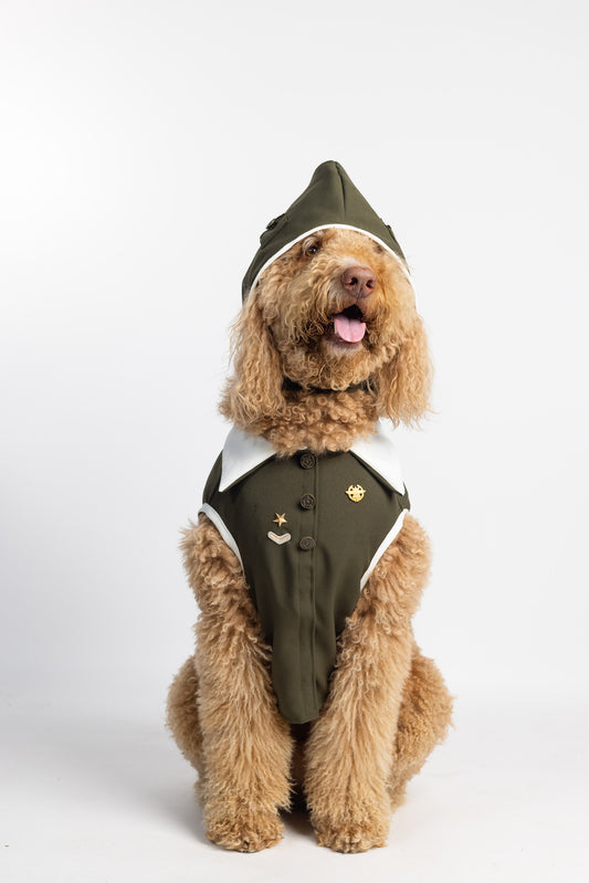 Aviator Dog Costume