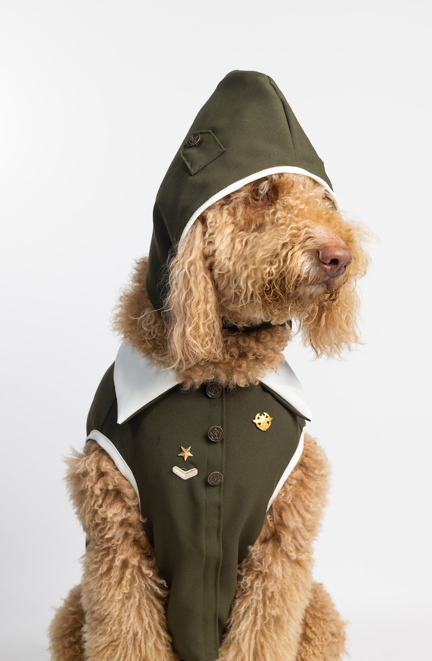 Aviator Dog Costume