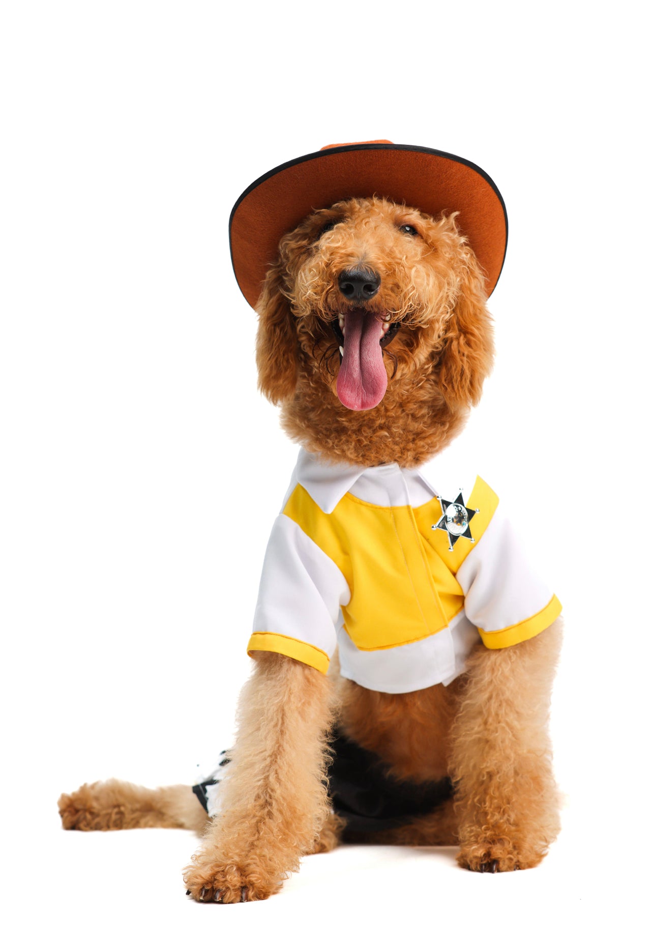 Jessie Pet Costume – enJoy Pet Atelier