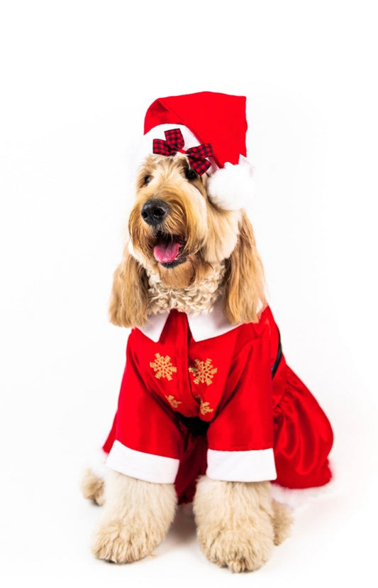 MS Claus Xmas Pet Costume