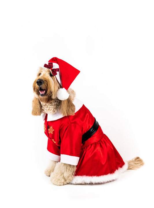 MS Claus Xmas Pet Costume