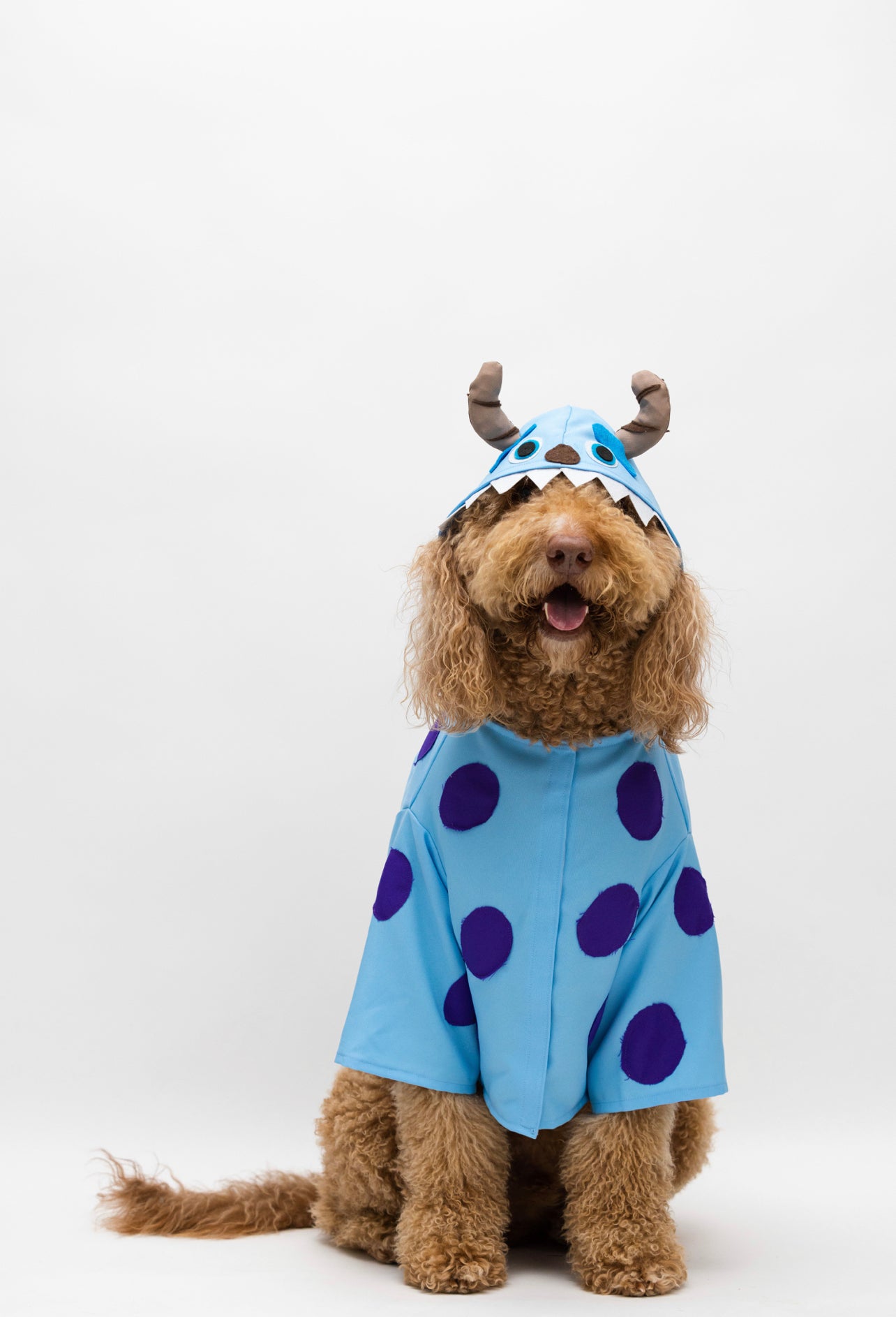 Sulley Costumes